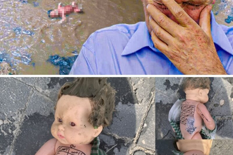 Fisherman Pulls “Porcelain Doll” Out Of Ocean, Then Realizes It’s Alive