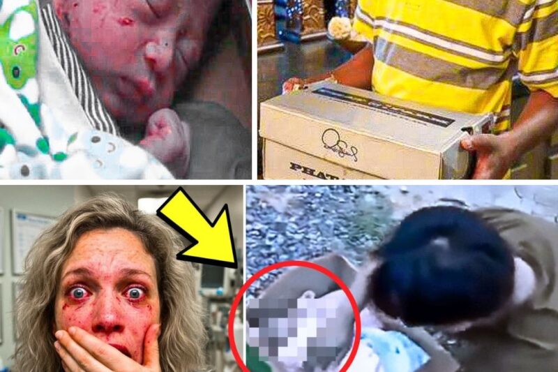Teen Walks Into Hospital With Shoebox When Nurse Opens It She Can’t Believe Her Eyes
