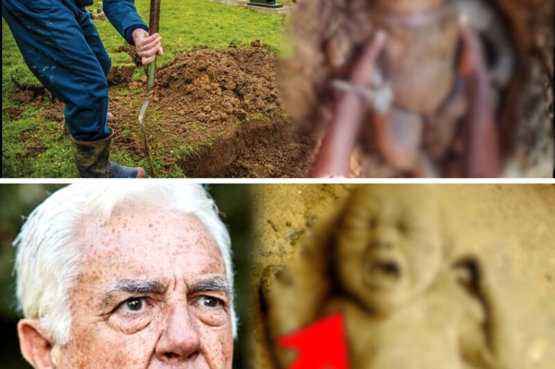 An old man heard babies squeaking from underground. Grabbing the shovel, he could not believe it