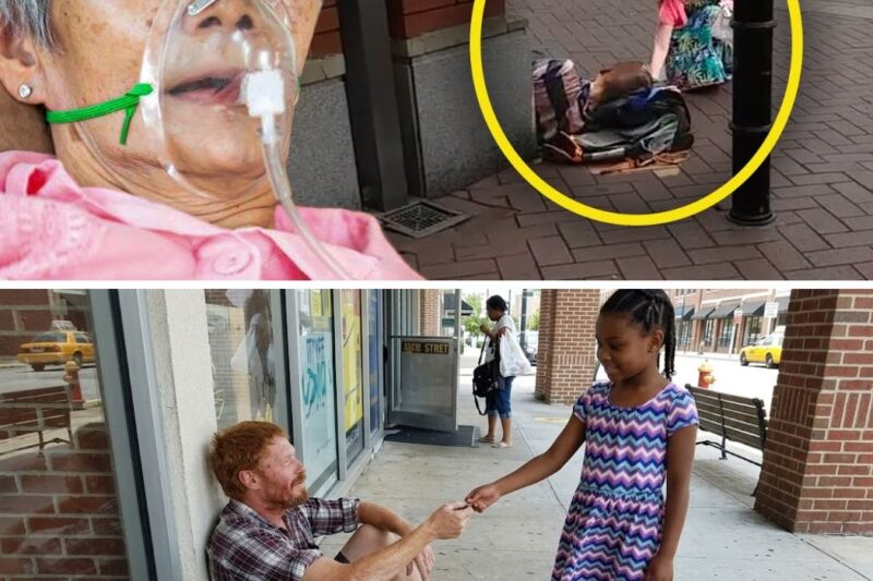 A Girl Gave Some Food To A Poor Boy Not Knowing That Only A Few Years Later He Will Save Her Life