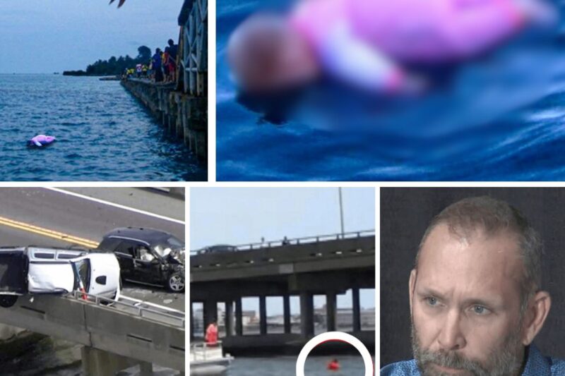 Stranger Sees Toddler Fell into Maryland Bay, Jumps off a 25-Feet High Bridge to Save Her.